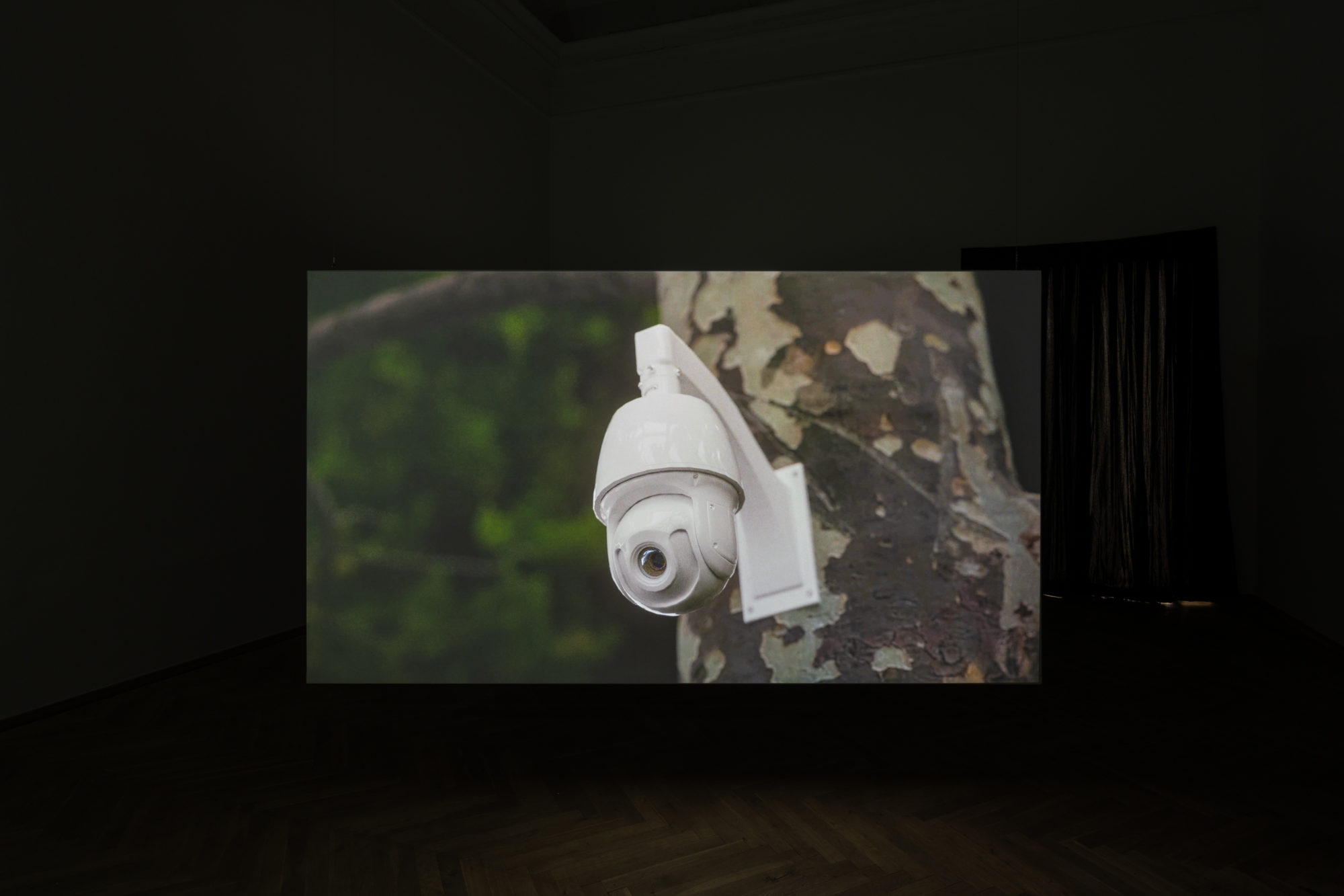Do you see the crooked line in the wall (2024), installation view